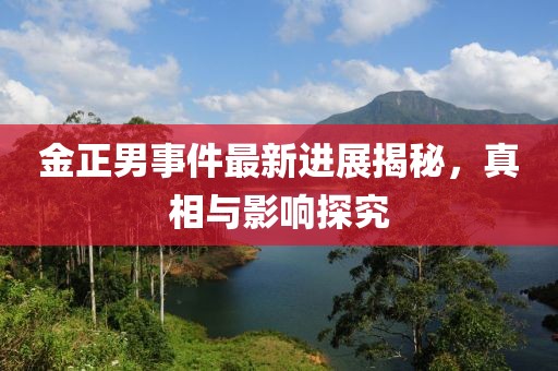 金正男事件最新進(jìn)展揭秘，真相與影響探究