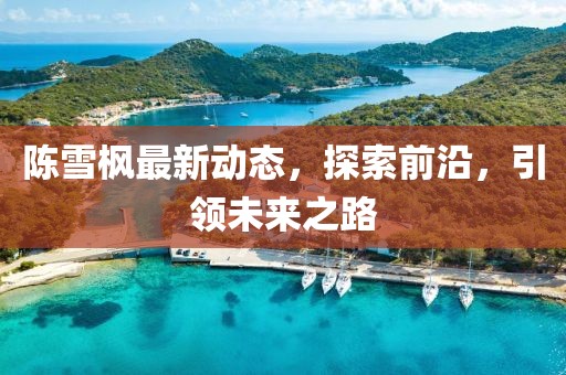 陳雪楓最新動(dòng)態(tài)，探索前沿，引領(lǐng)未來之路