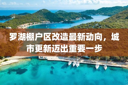 羅湖棚戶區(qū)改造最新動向，城市更新邁出重要一步