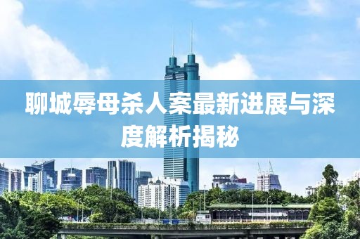 聊城辱母殺人案最新進(jìn)展與深度解析揭秘