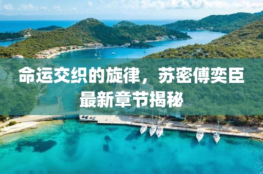 命運(yùn)交織的旋律，蘇密傅奕臣最新章節(jié)揭秘