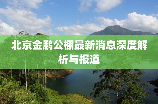 北京金鵬公棚最新消息深度解析與報道
