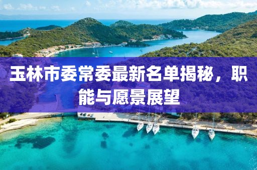 玉林市委常委最新名單揭秘，職能與愿景展望