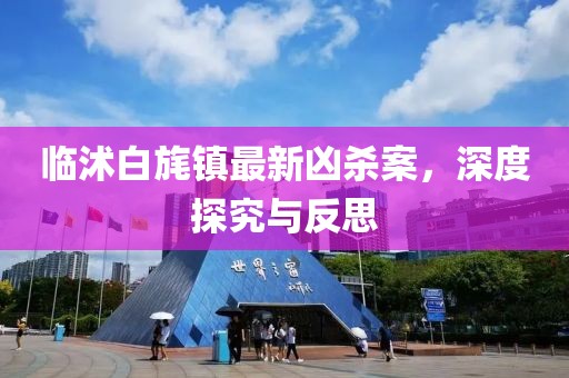 臨沭白旄鎮(zhèn)最新兇殺案，深度探究與反思