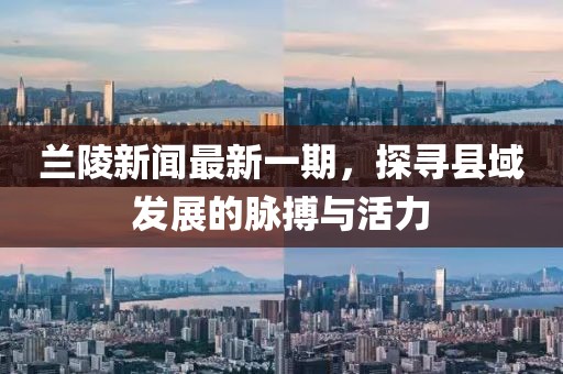蘭陵新聞最新一期，探尋縣域發(fā)展的脈搏與活力