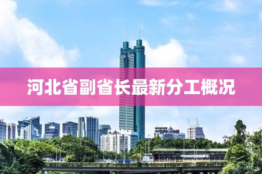 河北省副省長最新分工概況