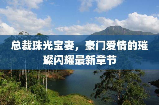 總裁珠光寶妻，豪門愛情的璀璨閃耀最新章節(jié)