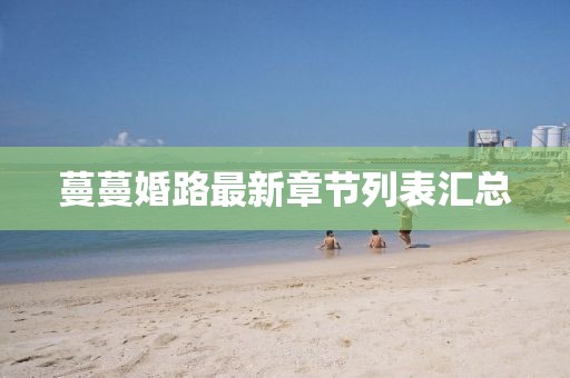 蔓蔓婚路最新章節(jié)列表匯總