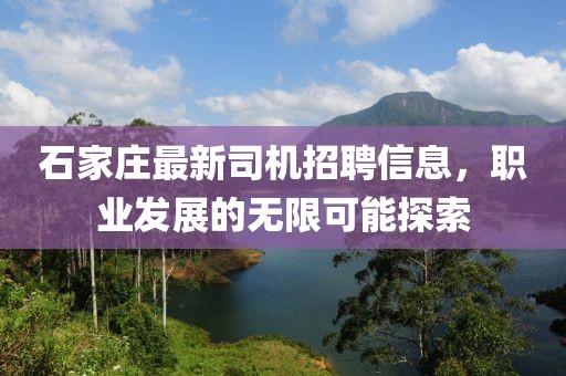 石家莊最新司機(jī)招聘信息，職業(yè)發(fā)展的無(wú)限可能探索