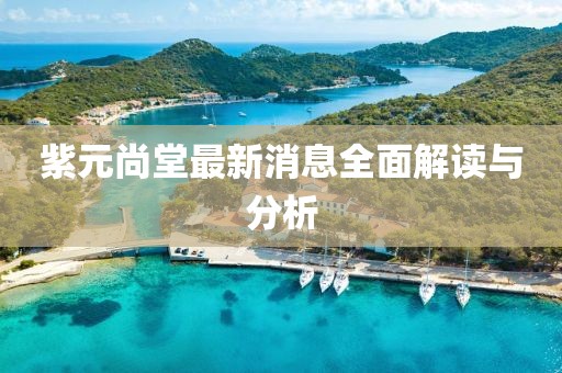 紫元尚堂最新消息全面解讀與分析