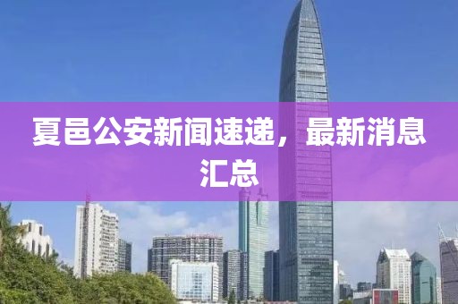 夏邑公安新聞速遞，最新消息匯總