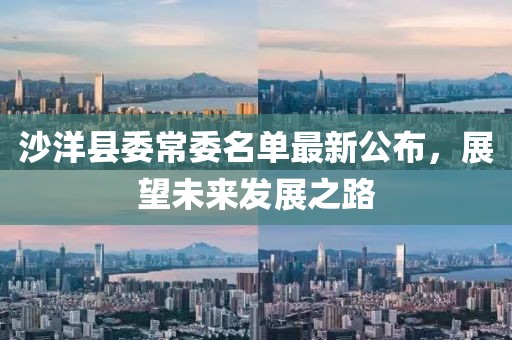 沙洋縣委常委名單最新公布，展望未來發(fā)展之路