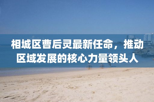 相城區(qū)曹后靈最新任命，推動(dòng)區(qū)域發(fā)展的核心力量領(lǐng)頭人
