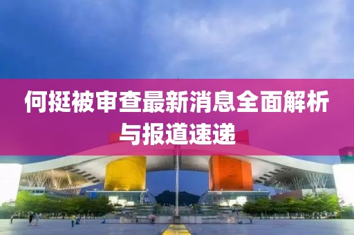何挺被審查最新消息全面解析與報道速遞