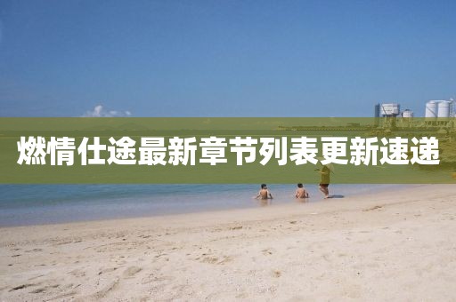 燃情仕途最新章節(jié)列表更新速遞
