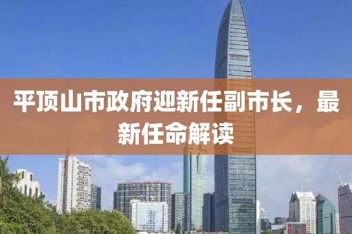 平頂山市政府迎新任副市長(zhǎng)，最新任命解讀