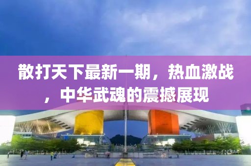 散打天下最新一期，熱血激戰(zhàn)，中華武魂的震撼展現(xiàn)