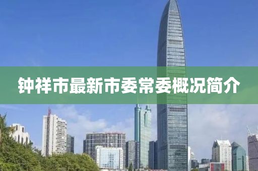 鐘祥市最新市委常委概況簡介