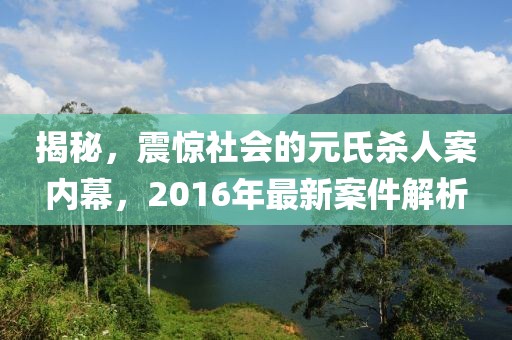 揭秘，震驚社會(huì)的元氏殺人案內(nèi)幕，2016年最新案件解析