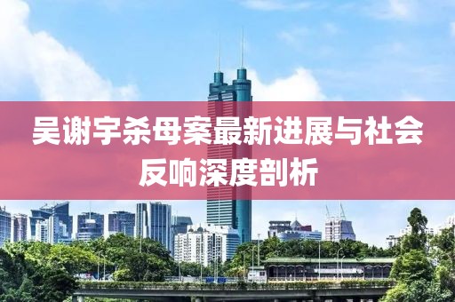 吳謝宇殺母案最新進展與社會反響深度剖析