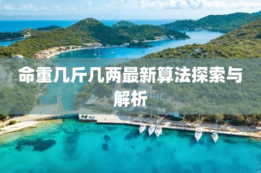 命重幾斤幾兩最新算法探索與解析