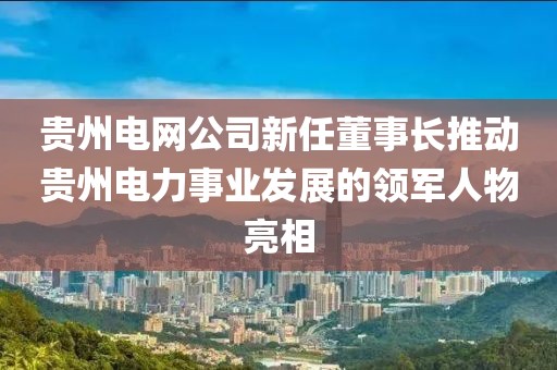 貴州電網(wǎng)公司新任董事長(zhǎng)推動(dòng)貴州電力事業(yè)發(fā)展的領(lǐng)軍人物亮相