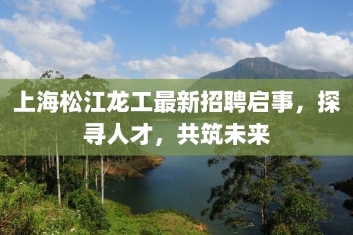 上海松江龍工最新招聘啟事，探尋人才，共筑未來(lái)