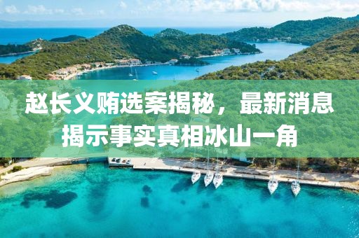趙長義賄選案揭秘，最新消息揭示事實真相冰山一角