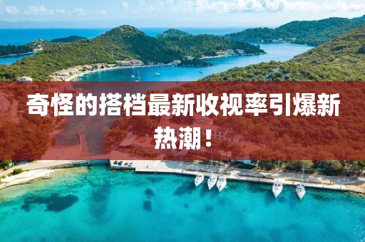 奇怪的搭檔最新收視率引爆新熱潮！
