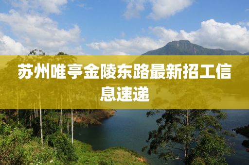 蘇州唯亭金陵?yáng)|路最新招工信息速遞
