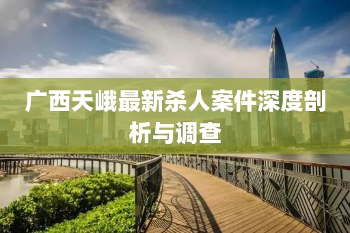 廣西天峨最新殺人案件深度剖析與調(diào)查