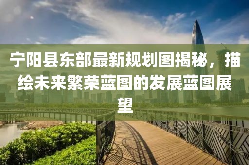 寧陽縣東部最新規(guī)劃圖揭秘，描繪未來繁榮藍(lán)圖的發(fā)展藍(lán)圖展望
