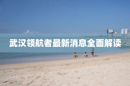 武漢領(lǐng)航者最新消息全面解讀