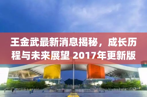 王金武最新消息揭秘，成長歷程與未來展望 2017年更新版