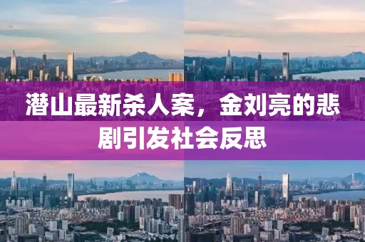 潛山最新殺人案，金劉亮的悲劇引發(fā)社會(huì)反思