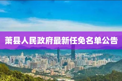 蕭縣人民政府最新任免名單公告