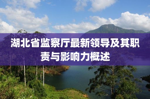 湖北省監(jiān)察廳最新領(lǐng)導(dǎo)及其職責(zé)與影響力概述