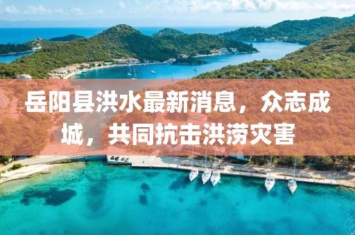 岳陽(yáng)縣洪水最新消息，眾志成城，共同抗擊洪澇災(zāi)害