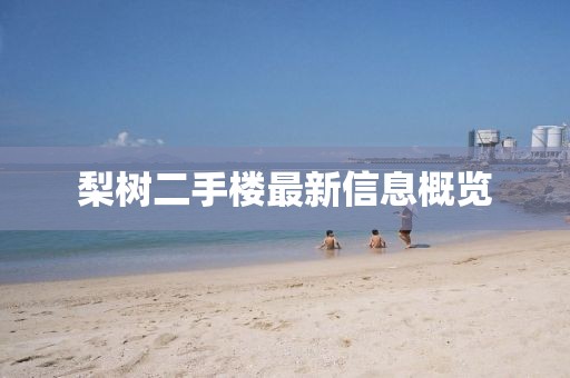 梨樹二手樓最新信息概覽