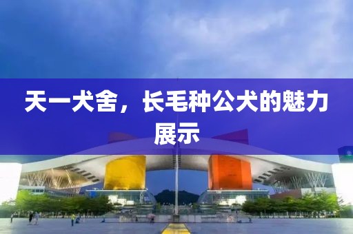 天一犬舍，長毛種公犬的魅力展示