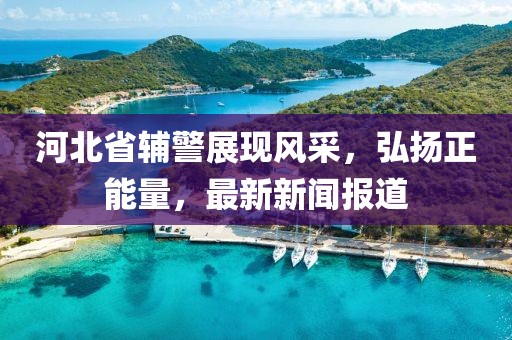 河北省輔警展現(xiàn)風(fēng)采，弘揚正能量，最新新聞報道