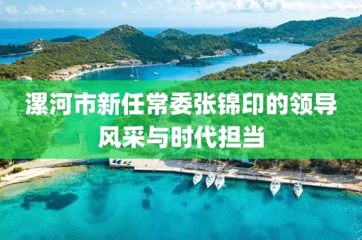 漯河市新任常委張錦印的領(lǐng)導(dǎo)風(fēng)采與時(shí)代擔(dān)當(dāng)