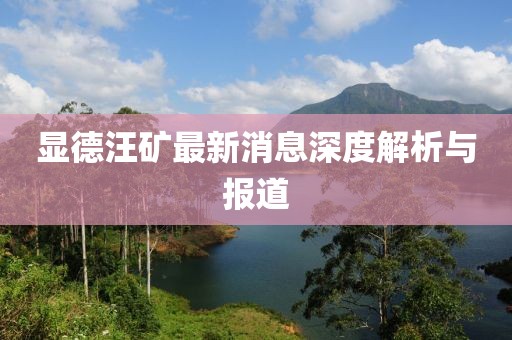 顯德汪礦最新消息深度解析與報(bào)道