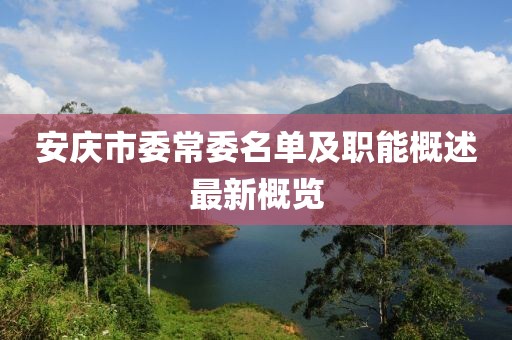 安慶市委常委名單及職能概述最新概覽