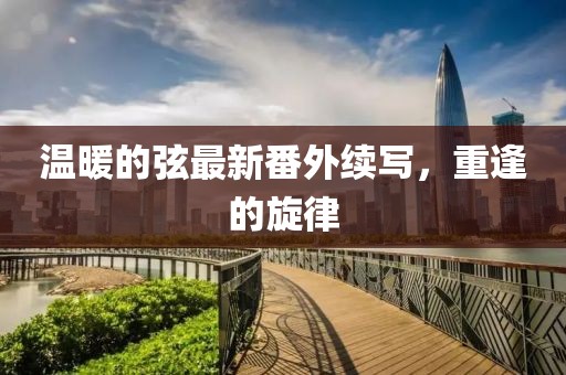 溫暖的弦最新番外續(xù)寫，重逢的旋律