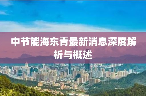 中節(jié)能海東青最新消息深度解析與概述