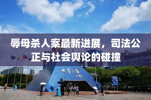 辱母殺人案最新進展，司法公正與社會輿論的碰撞