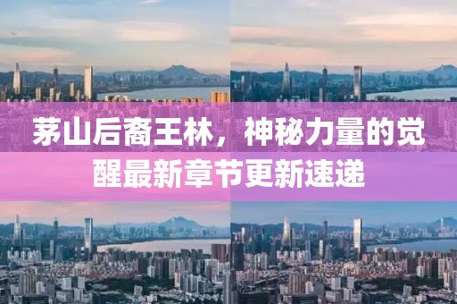 茅山后裔王林，神秘力量的覺醒最新章節(jié)更新速遞