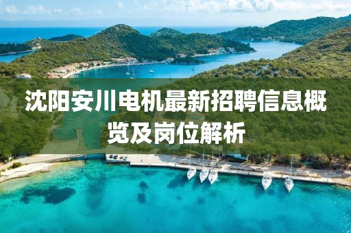 沈陽安川電機(jī)最新招聘信息概覽及崗位解析