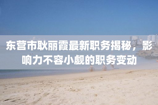 東營市耿麗霞最新職務(wù)揭秘，影響力不容小覷的職務(wù)變動